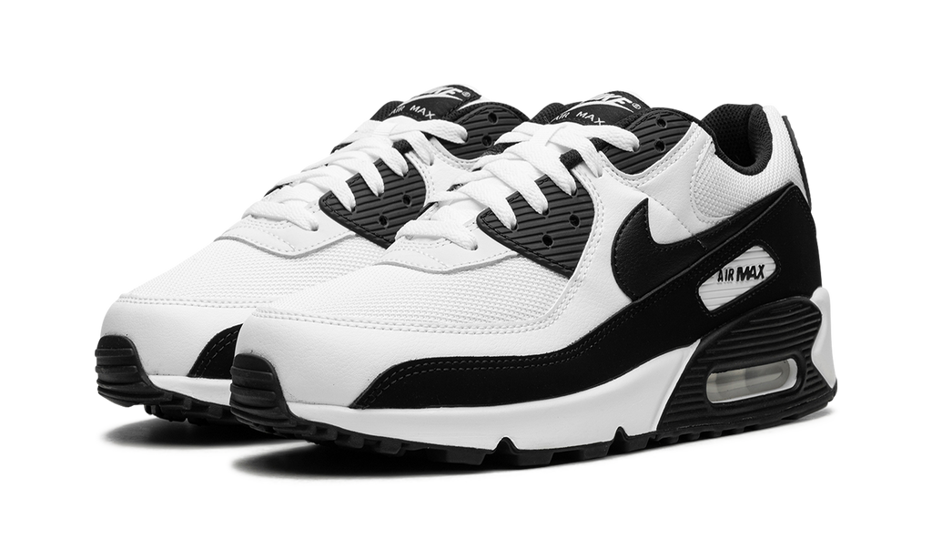 Air Max 90 "Panda" CN8490 101