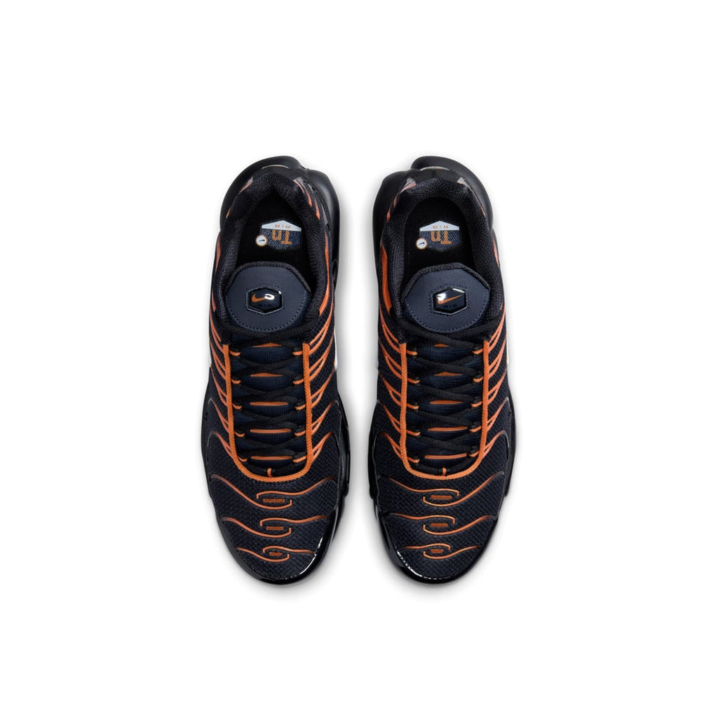 Nike Air Max Plus TN 'Dark Obsidian Monarch' (2024)