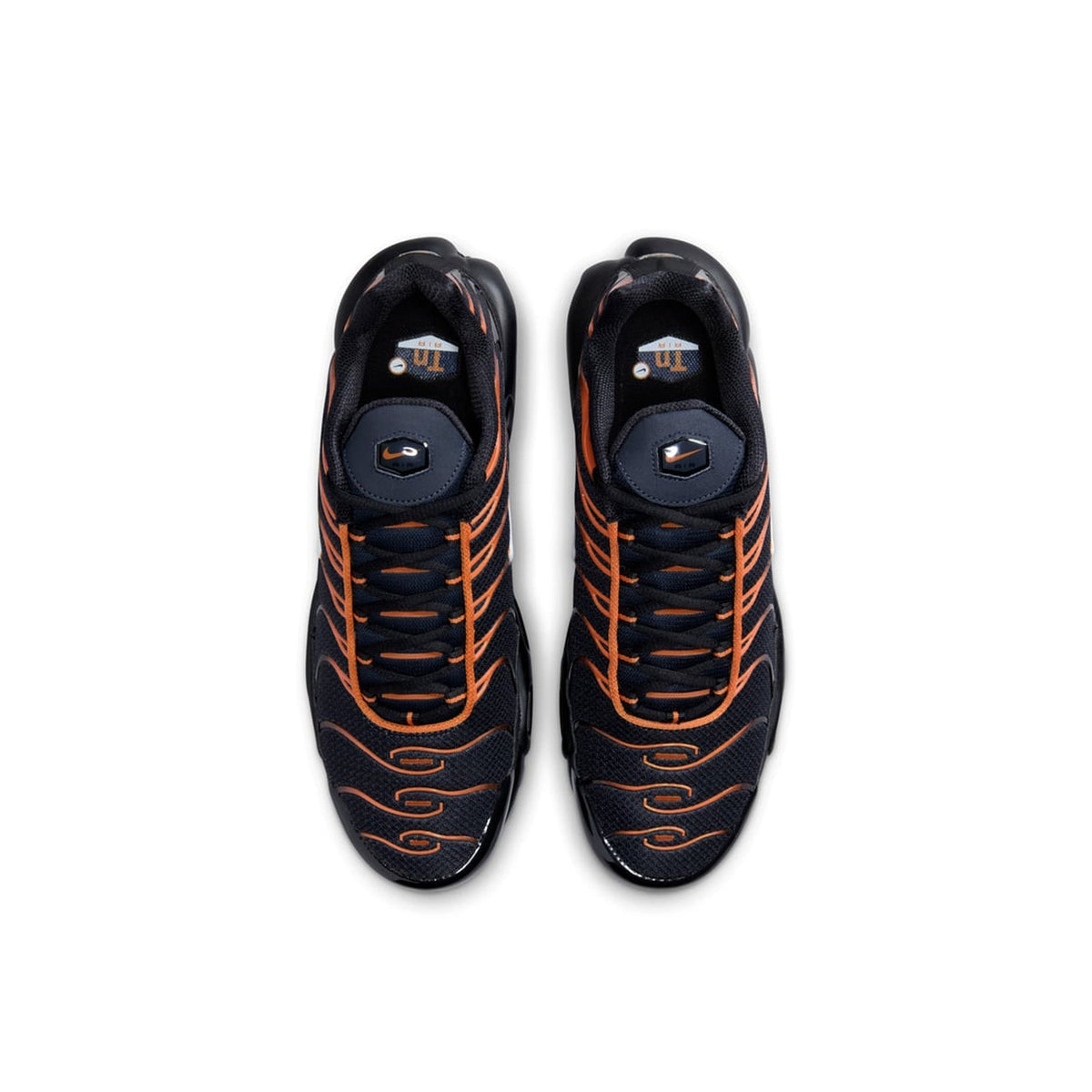 Nike Air Max Plus TN 'Dark Obsidian Monarch' (2024)