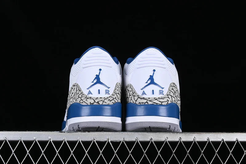 Air Jordan 3 Retro "Wizards"