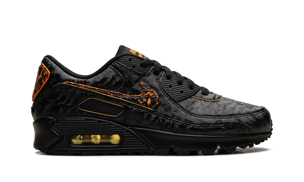 Air Max 90 "Volcano" HF3248 001