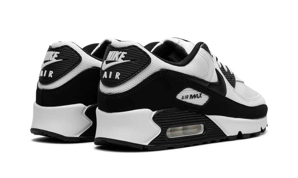 Air Max 90 "Panda" CN8490 101