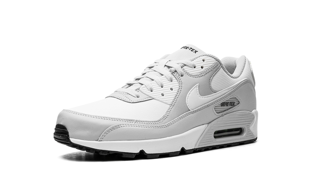 Air Max 90 "Gore-Tex" DJ9779 003