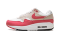 Air Max 1 WMNS "Aster Pink" DZ2628 110
