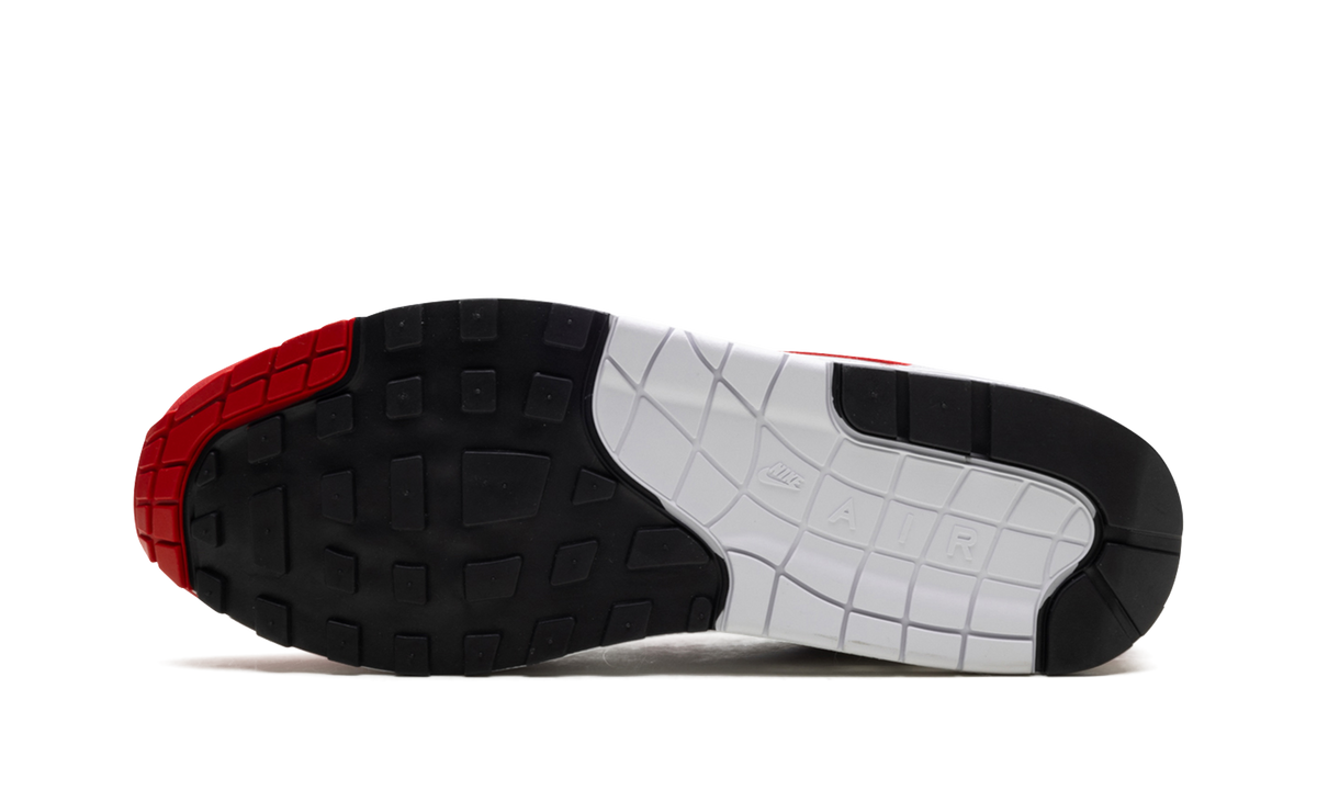 Air Max 1 "Low Poly" HQ5882 100