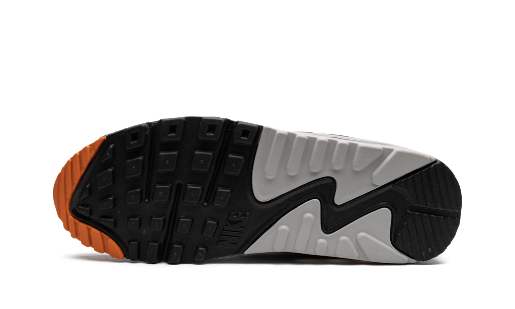 Air Max 90 "Starfish" DM0029 101