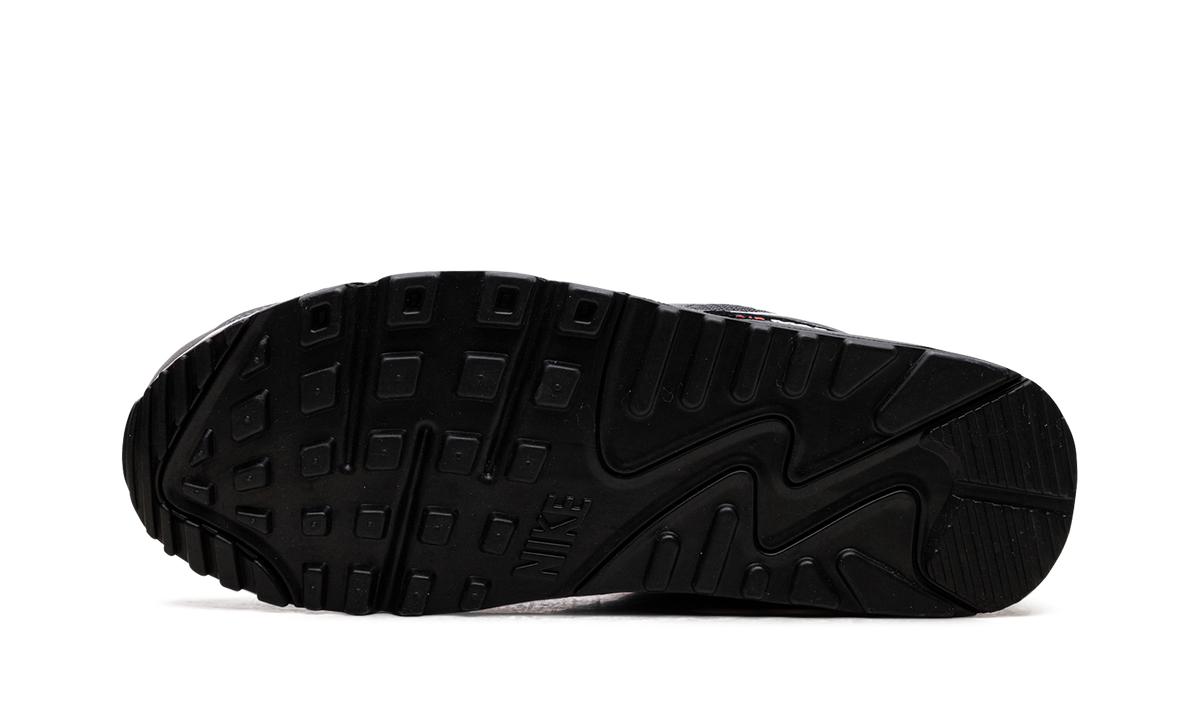 Air Max 90 "Iron Grey University Red" DR0145 003