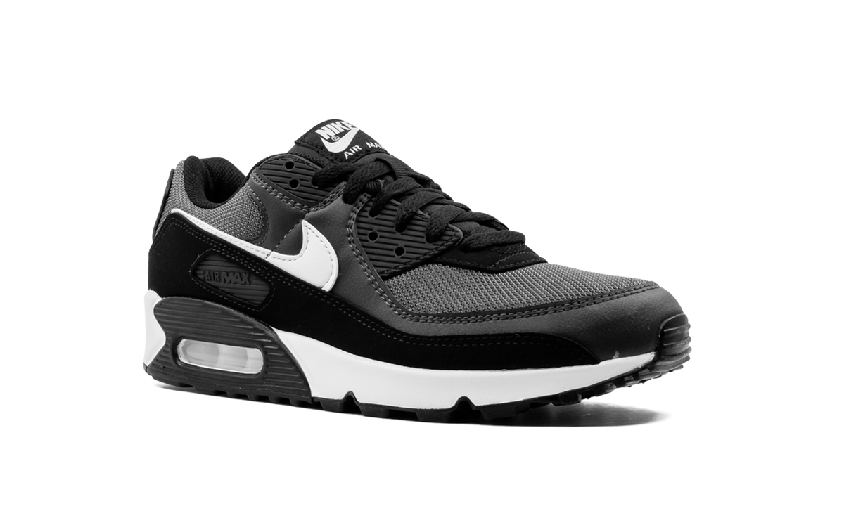 Air Max 90 "Iron Grey" CN8490 002