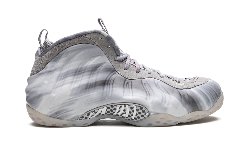 Air Foamposite One "Dream a World - Grey" DM0115 001