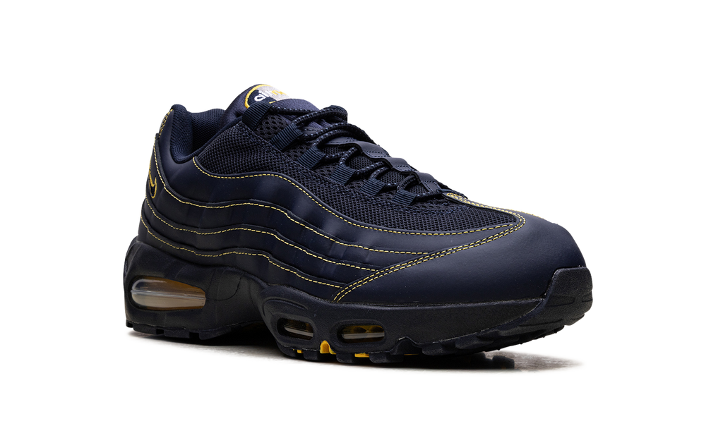 Air Max 95 "Michigan" IB7936 400