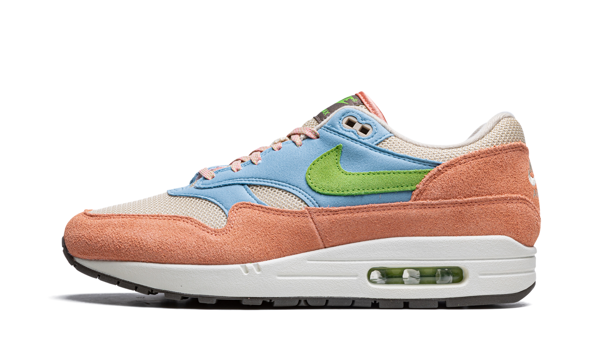 Air Max 1 "Light Madder Root" DV3196 800