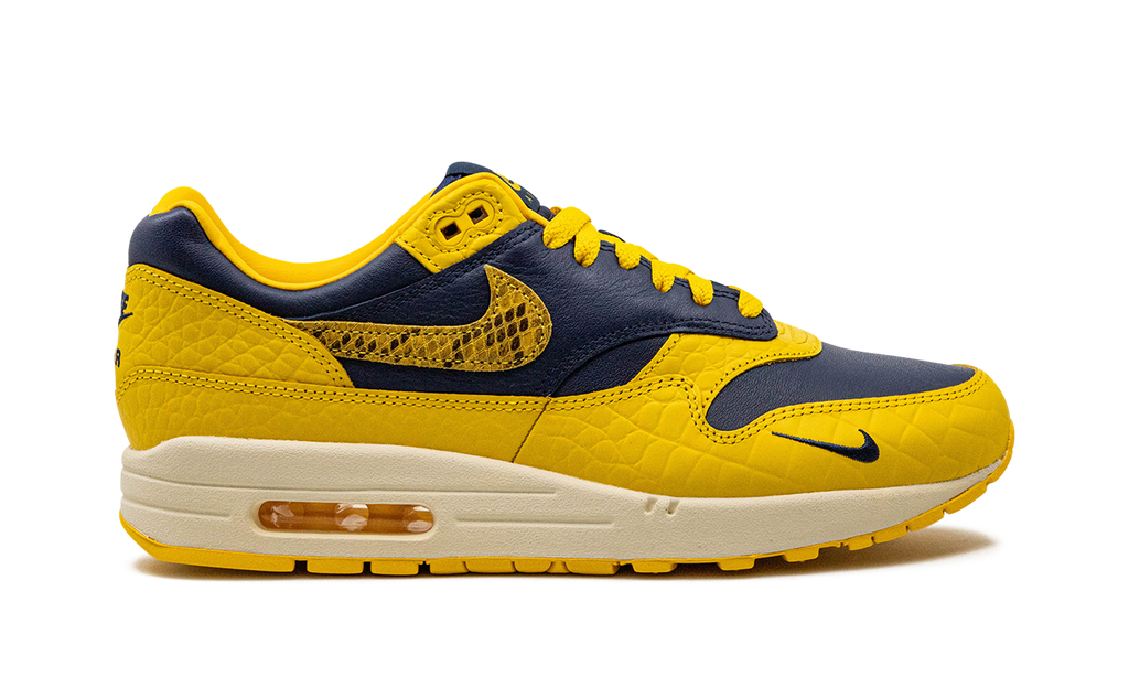 AIR MAX 1 PRM MNS WMNS "Co.jp Head to Head" FJ5479 410