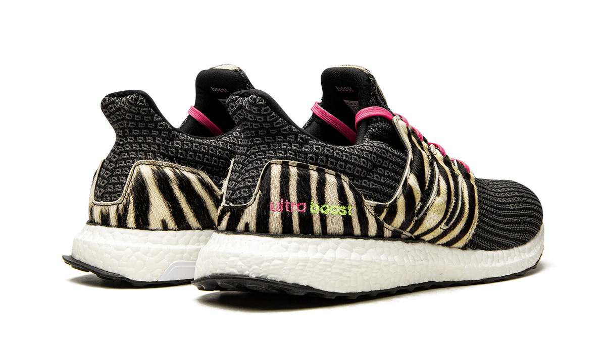 Ultraboost DNA "Animal Pack-Zebra" FZ2730