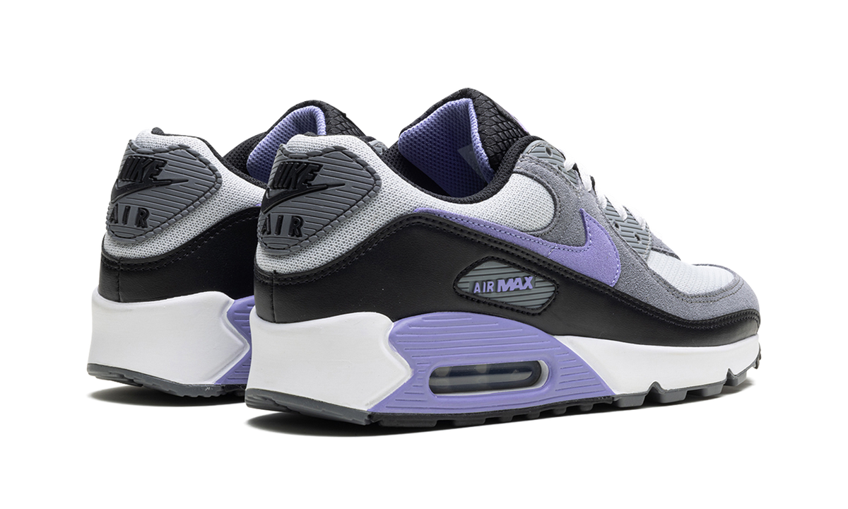 Air Max 90 "Light Thistle" DM0029 014