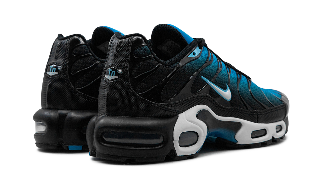 Air Max Plus "Aquarius Blue" DM0032 402