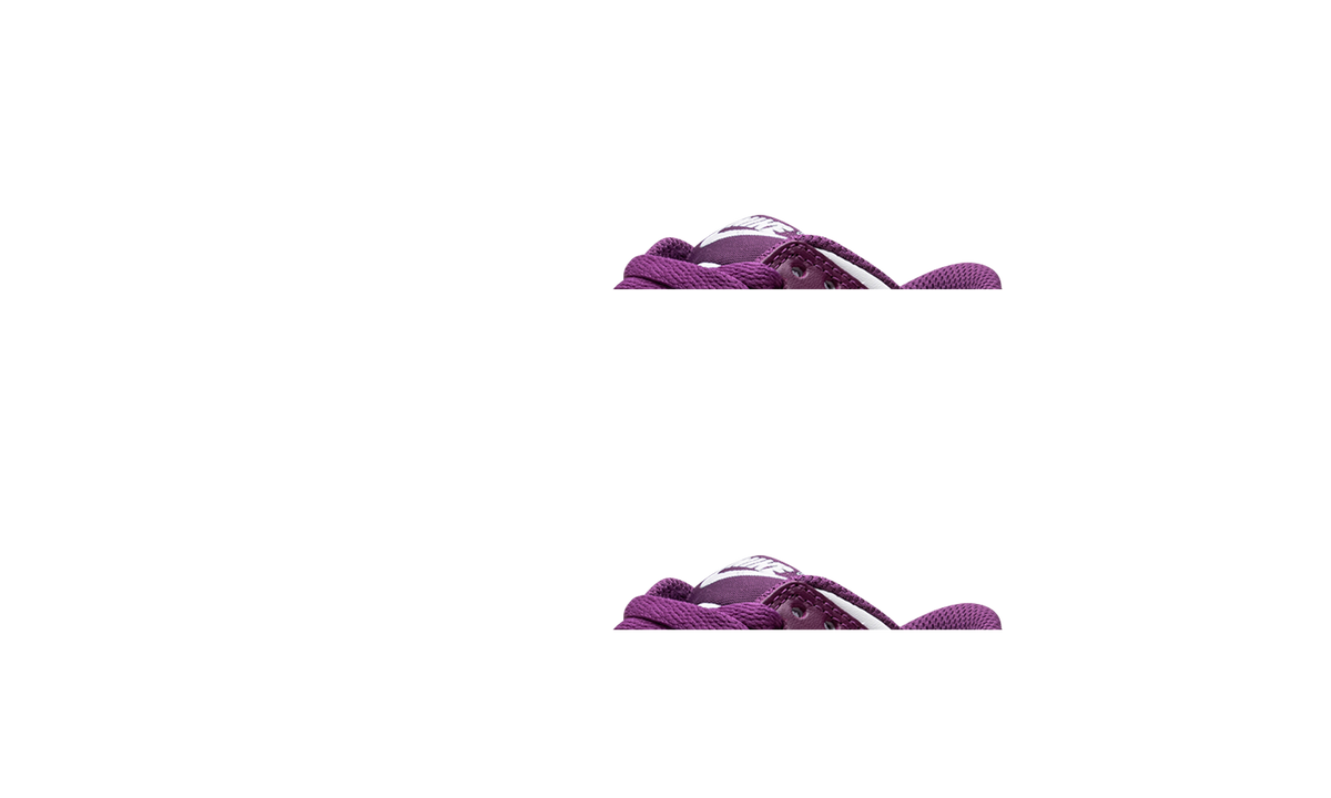 Dunk Low GS "Viotech" FB9109 110