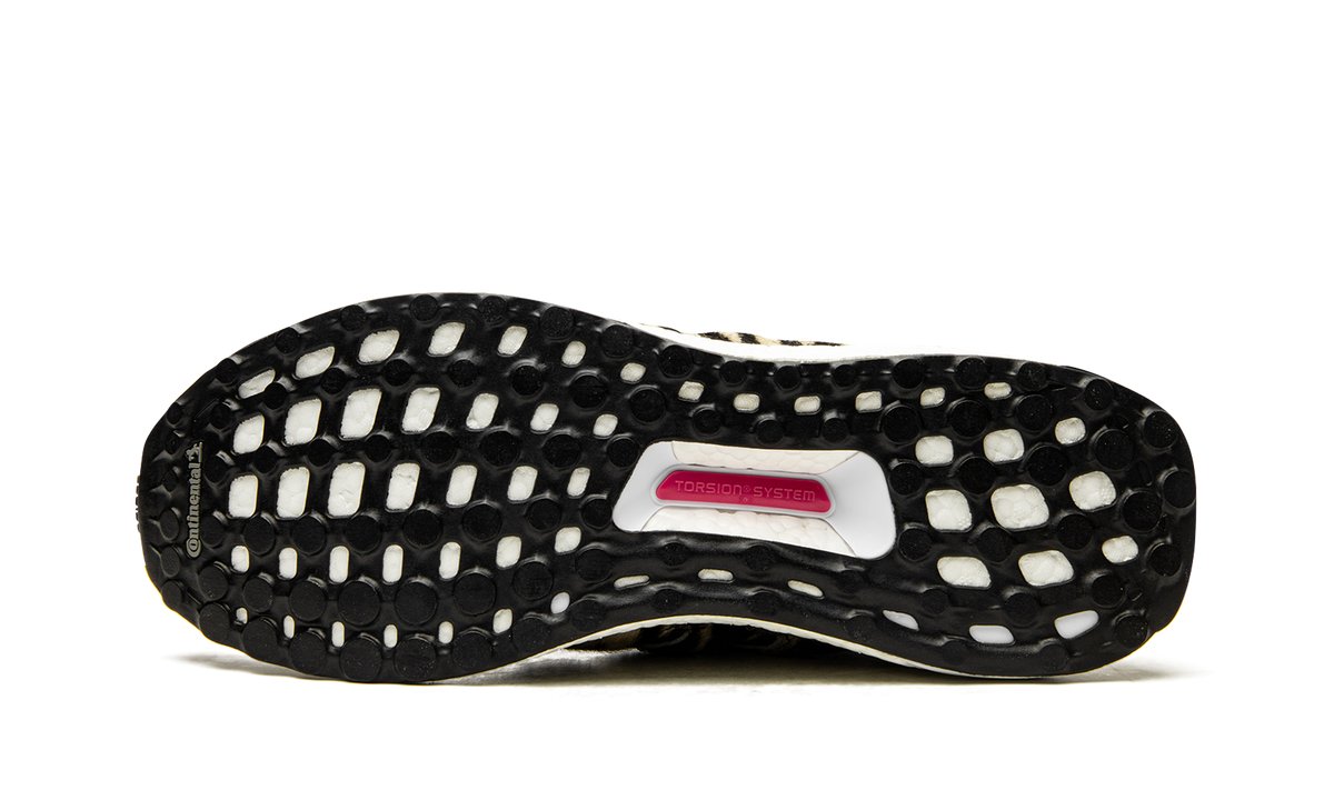 Ultraboost DNA "Animal Pack-Zebra" FZ2730