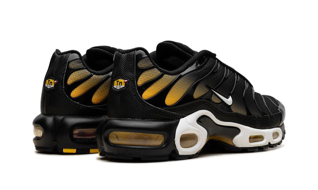 Air Max Plus "Black University Gold White" DM0032 013