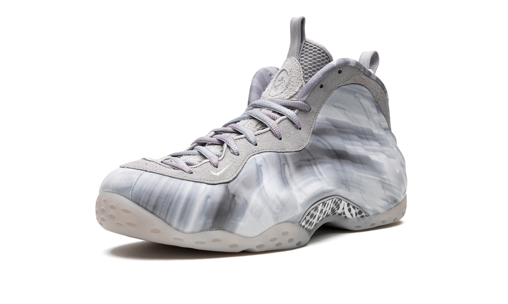 Air Foamposite One "Dream a World - Grey" DM0115 001